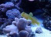 20130328_083007.jpg