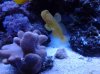 20130328_082905.jpg