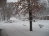 snow 001.jpg