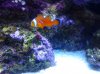 20130420_085106.jpg