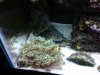 20130422_205714.jpg