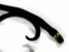 P1060158worm2.jpg