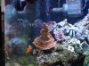 DSC00887.JPG