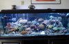 DSC00875.JPG