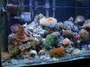 DSC00881.JPG