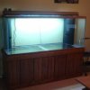 220 Gallon Reef Ready.jpg