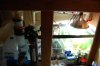 Aquarium 053.jpg