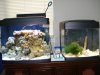 DSC01013.jpg