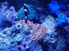 20130610_125927.jpg