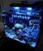 DSC02040.jpg
