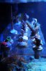 DSC02036.jpg