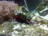 20130615_211107.jpg