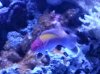 20130625_192009.jpg