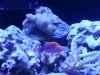 20130628_143245.jpg