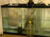 DSCN1751.JPG