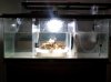 2013-09-01_15-27-47_934 (1).jpg