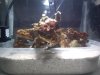 2013-09-01_15-28-10_260.jpg