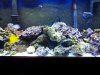 20130331_202624.jpg