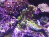 20131001_103300.jpg