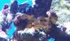 IMG_20131027_222730.jpg