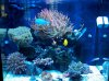 2011-09-03_17-59-48_106.jpg