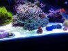 20131120_133432.jpg