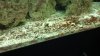 IMG_20131121_120412_428.jpg