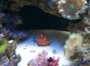 IMG_20131124_173559.jpg