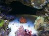 IMG_20131124_173603.jpg