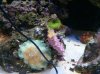 IMG_20131124_173611.jpg
