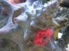 IMG_20131124_173636.jpg