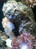 IMG_20131124_173657.jpg