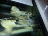 20131218_082427.jpg
