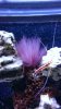 WP_20140120_003.jpg
