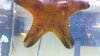 WIN_20140127_210618.JPG
