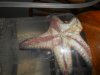 DSCN0980.jpg