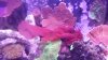 20140326_204038.jpg