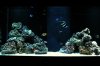4:7aqua4.jpg
