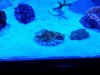 20140414_002506.jpg