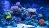 DSCN2467-Edit.jpg