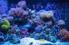 DSCN2486-Edit.jpg