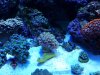 20140429_073301.jpg