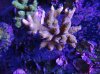 DSC00294.jpg