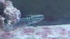 2014-05-21_15-30-01_887.jpg