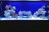 FTS.jpg