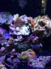 IMG_0065.JPG
