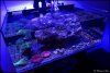 2014-12-01 23.02.35.jpg
