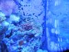 DSCN3373.JPG