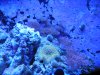 DSCN3375.JPG