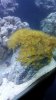 20150220_211135.jpg